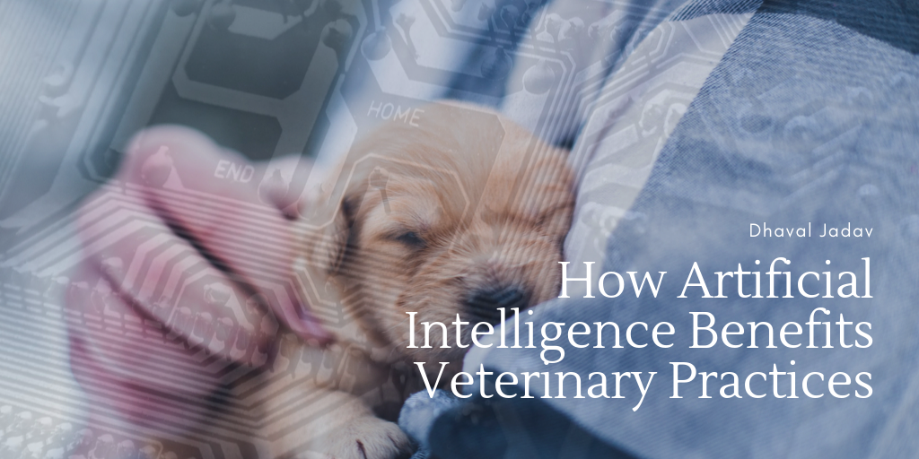 How Artificial Intelligence Benefits Veterinary Practices